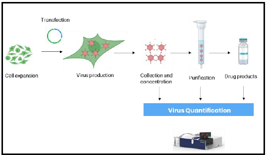 AAV production workflow showing integration of P4SPR at cell expansion, virus production, collection, purification, and drug product stages