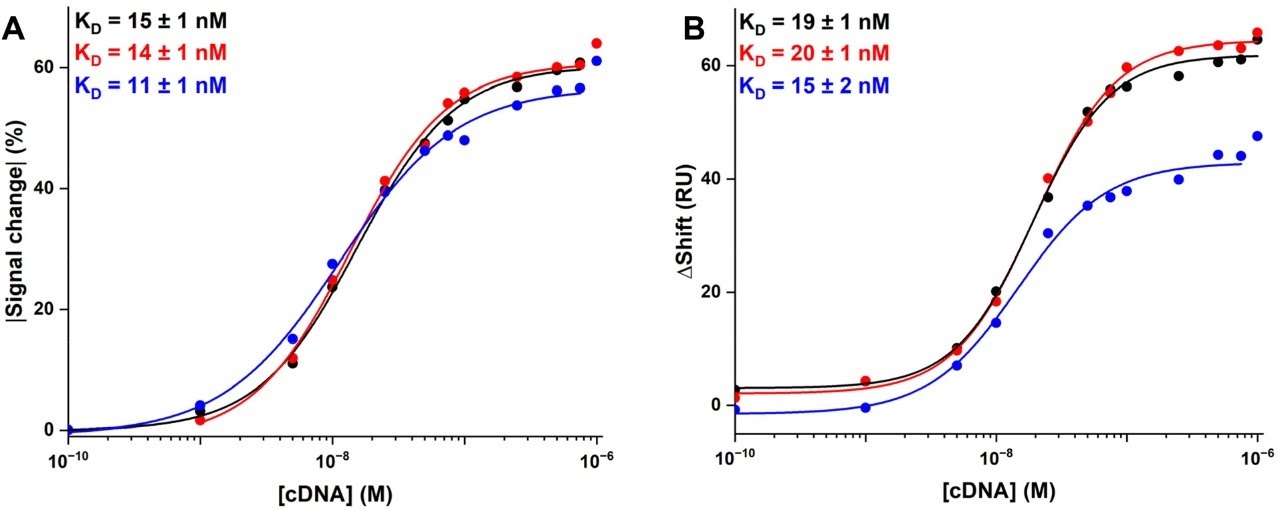 Sigmoidal dose-response curves for electrochemical and SPR detection of DNA hybridization across three probe lengths