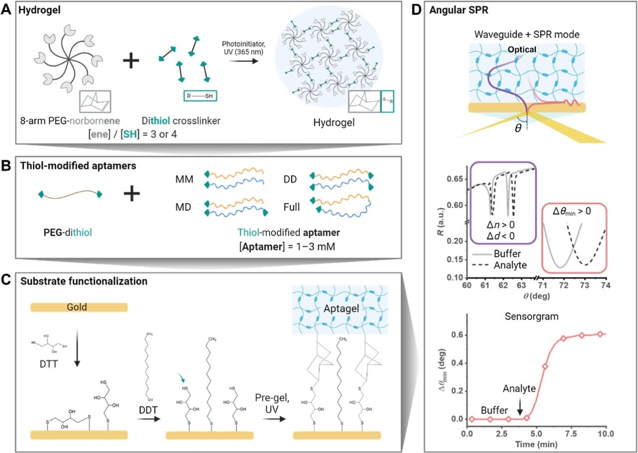 Aptagel synthesis, aptamer configurations, substrate functionalization, and angular SPR detection scheme