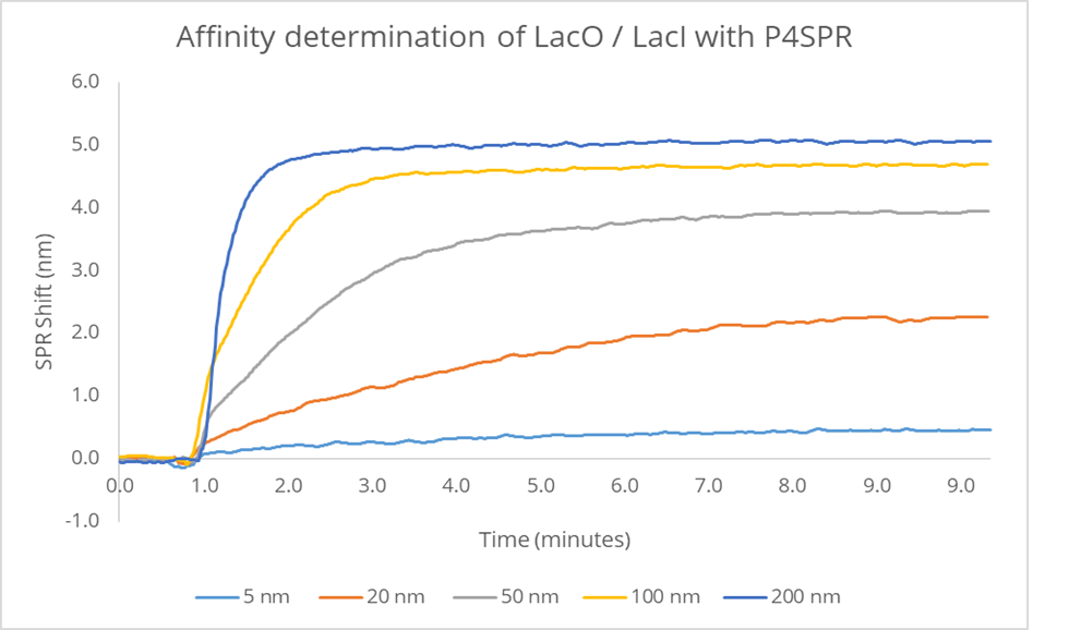 Affinity determination of LacO / LacI binding curves