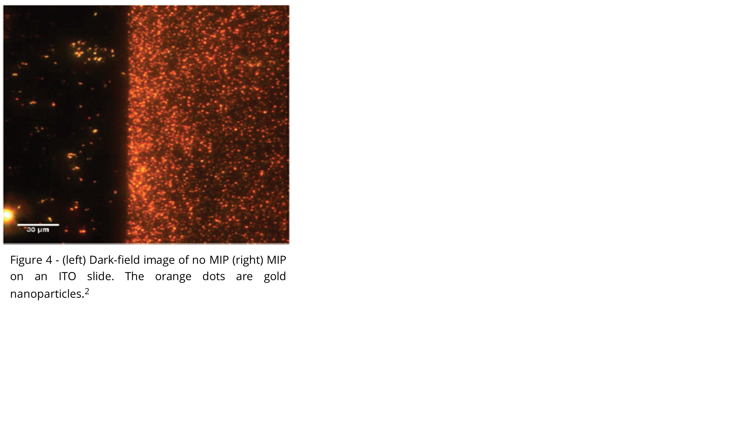 Dark-field microscopy image of an ITO slide coated with MIP. Dense field of orange dots correspond to gold nanoparticles crosslinked within the bisaniline polymer matrix.