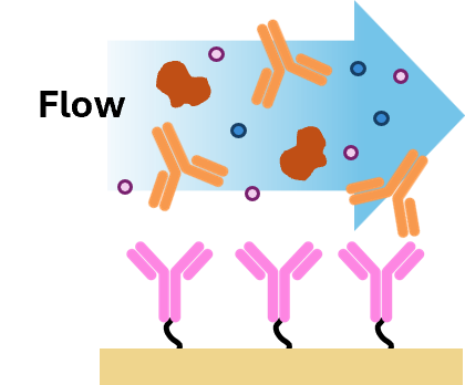 Kinetic SPR — flow-based analyte delivery