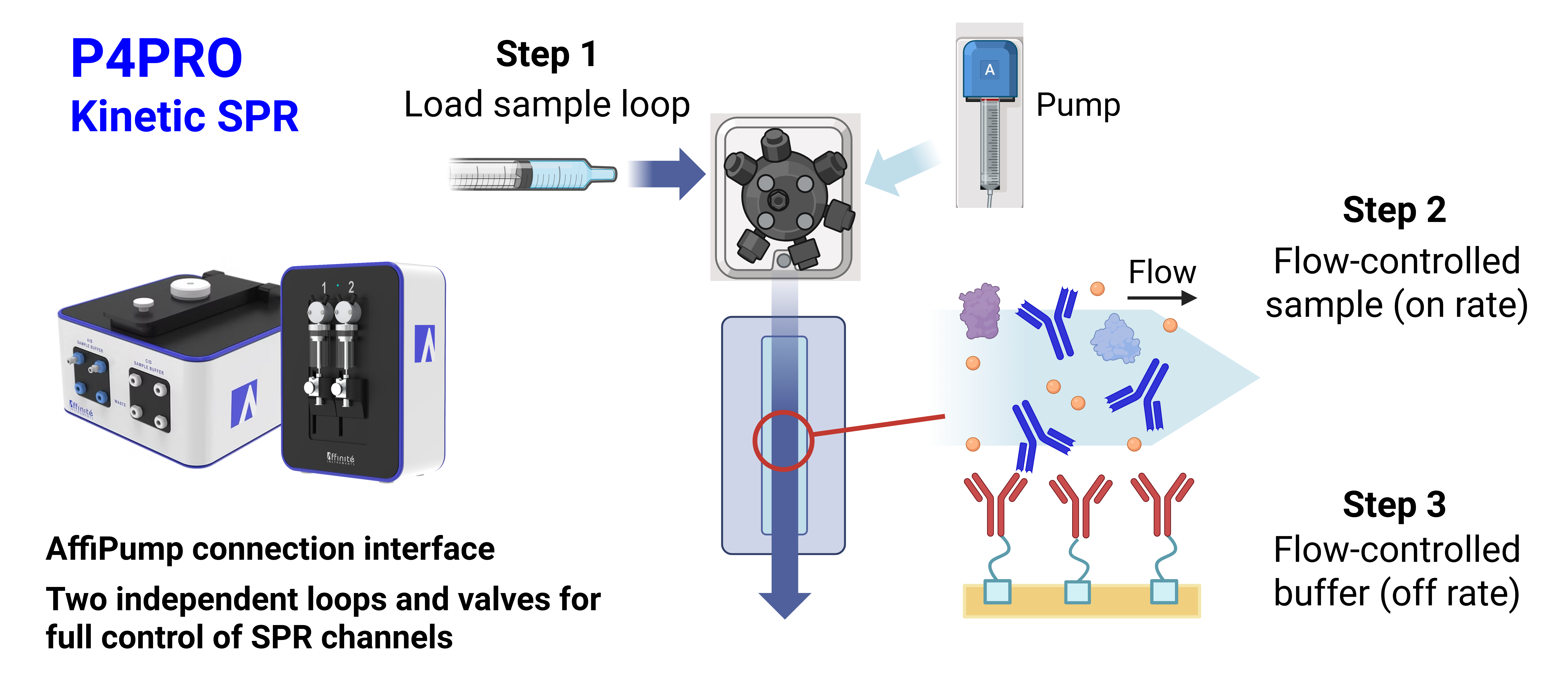 P4PRO — 3-step kinetic SPR workflow: load sample loop, flow-controlled injection (on rate), flow-controlled buffer (off rate)