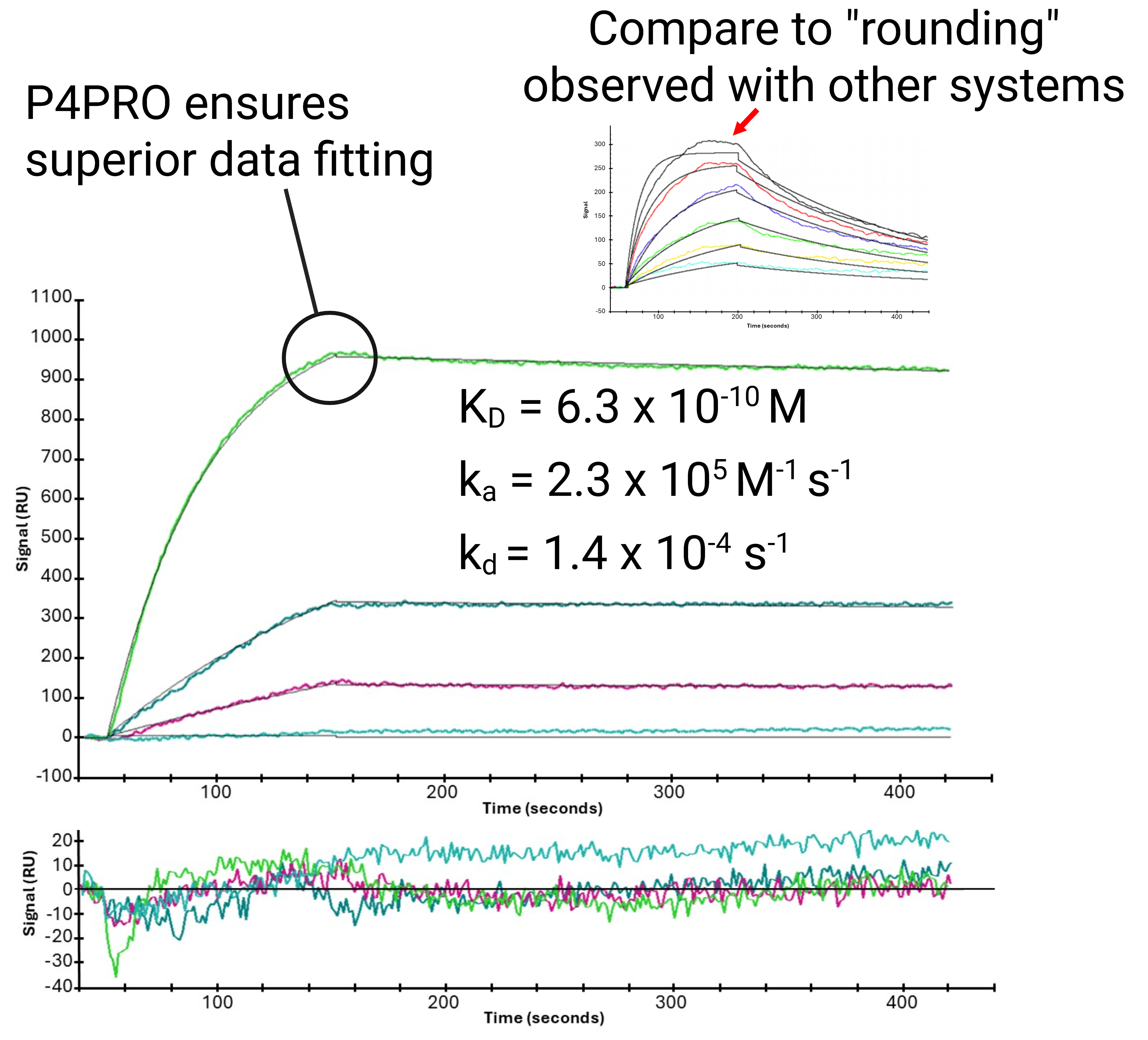 P4PRO kinetic sensorgram — Protein A IgG interaction, full association and dissociation curves with global fit