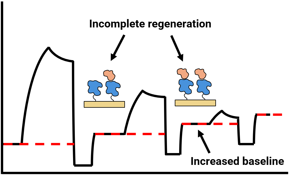 Incomplete regeneration — progressive baseline